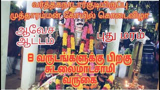 8 வருடங்களுக்கு பிறகு சுடலைமாடசாமி வருகை| புது மரத்துடன் ஆவேச ஆட்டம்|வர்த்தகநாடார்குடியிருப்பு