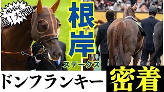 根岸S 超大型馬ドンフランキーに密着！！