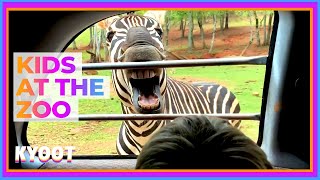 This ZEBRA Wants To Be Fed! 🦓 🍽 | Funny Kids At The Zoo | Kyoot 2022