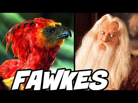 How long do phoenixes live Harry Potter?