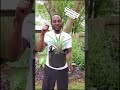 How to Water Bromeliads #shorts