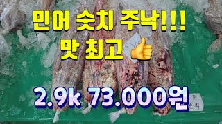 8/1일 신안 자연산 민어 숫치 엄청 싱싱합니다! 여름 보양식 민어 엄청 맛있습니다.