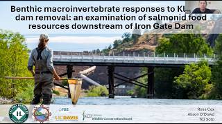 Food web responses to Klamath Dam removal: salmonid food resources downstream of Iron Gate Dam