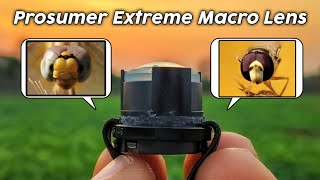 Prosumer Extreme Macro Lens । DSLR Like Photography with Smartphone । #mobigraphy