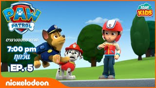 การ์ตูน Paw Patrol - ขบวนการเจ้าตูบสี่ขา เหล่าสุนัขผู้พิทักษ์และน้องห่าน ตอนที่ 5 | การ์ตูนไทย 2019