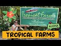 Visiting the Tropical Farms (The Macadamia Nut Farm Outlet)