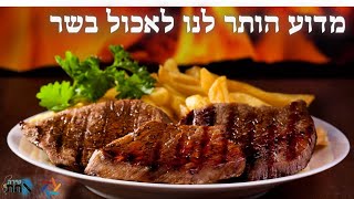 מדוע הותר לנו לאכול בשר? האם זה מוסרי? 🍷 4 דרגות כלליות בנבראים שכדאי להכיר 🍷 פרשת נח 🍷 מרתק!