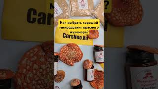 Как выбрать хороший микродозинг красного мухомора? #микродозингмухомора #мухоморныймикродозинг