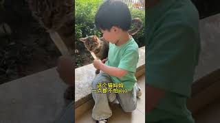 【JoJo也是铲屎官】自从知道楼底下这个流浪猫生小猫了，天天拿着猫条下来喂……要是JK知道不知道会不会生气～