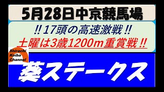 【競馬予想】GⅢ葵ステークス2022年5月28日 中京競馬場