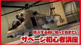 オススメの格納庫 紹介 Gtaオンライン Gta5 個人航空機 ペガサス車両 違い