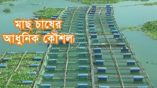 কিভাবে ভাসমান খাঁচায় মাছ চাষ করবেন, Cage Fish Farming