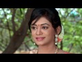 varudhini parinayam వరూధిని పరిణయం telugu serial ep 707 ravi krishna chandana zee telugu