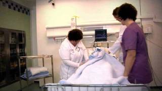 SimMan Essential - Education