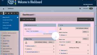 Bb Basics2 - Adding Course Modules and Learning Modules