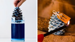 10 Uncommon Ways to Use Common Things! Life Hacks by Blossom