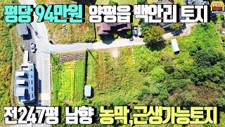 [양평토지 매매] 양평읍 백안리, 평당94만원 전247평,매매가2억4500만원/6번국도 접근성 우수,남향,보전관리지역/농막,근린생활시설(사무소)추천/양평우리부동산 매물번호1214