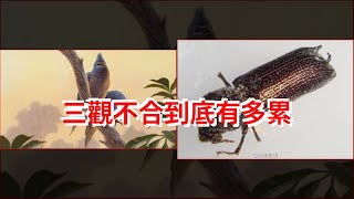 三觀不合到底有多累