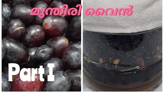 അച്ചായൻ സ്പെഷ്യൽ മുന്തിരി വൈൻ /Home made grape wine/21 ദിവസം കൊണ്ട്  മുന്തിരി വൈൻ/നാടൻ മുന്തിരി വൈൻ