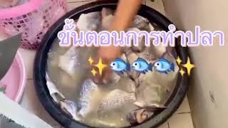 ปลานิลแดดเดียวสูตรอาภาเองค่ะ