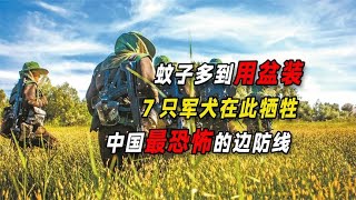 我国最危险边防线，7条警犬因“蚊子”牺牲，士兵睡觉也全副武装