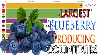 Largest blueberry producing countries.