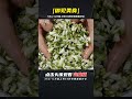 槐花餡包子好吃又簡單的家常做法，不用提前發面，省時省力零失敗 完整版 查看評論