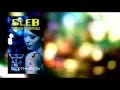 Sleb: Tigress of Celebrityville (Trailer for Novel)