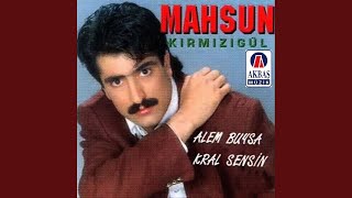 Alem buysa kral sensin