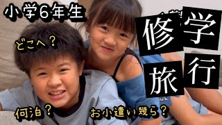 【修学旅行直前】小学生最後の旅行は何処へ行く？今時の6年生のお小遣いの金額が凄かった！？