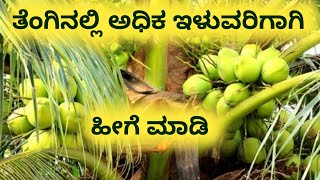 ತೆಂಗಿನ ಬೆಳೆಯಲ್ಲಿ ಅಧಿಕ ಇಳುವರಿ | ಮಧುಚಂದನ್ | Organic Mandya