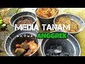 MEDIA TANAM UNTUK ANGGREK