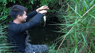 野钓：隐蔽地下暗河口鱼儿都饿疯了，一条又一条上钩，钓得好过瘾