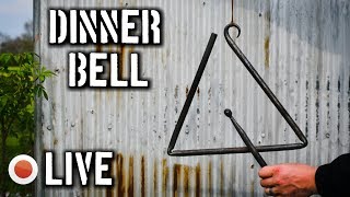 🔴 LIVE: Forging a Dinner Bell