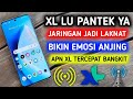 Apn XL Tercepat Paling Stabil Jaringan Jadi Normal Jaya Buruan Coba King Pokok e Mantab