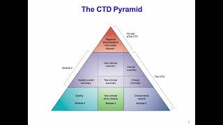 eCTD Module 1: FDA, EMA, and Japan Requirements | ICH M4 Guidelines by Peivand Pirouzi, Ph.D