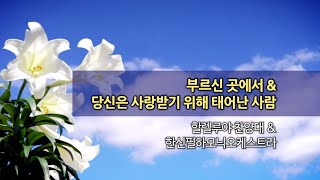 20240512 한신교회 할렐루야 찬양대 - 부르신 곳에서\u0026당신은 사랑받기 위해 태어난 사람