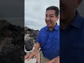 Marine Iguanas! Learn 5 facts about this unique Galápagos Islands species