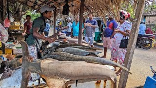 Amazing Wow! Mr Ranuka Massive Fish Cutting in a Village Fish Market