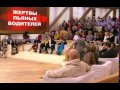 careninatv Пусть говорят Жертвы пьяных водителей 18 11 2014