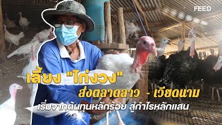 เลี้ยงไก่งวงส่งภัตตาคาร-ร้านอาหารใหญ่ ๆ ความต้องการยังสูง : FEED