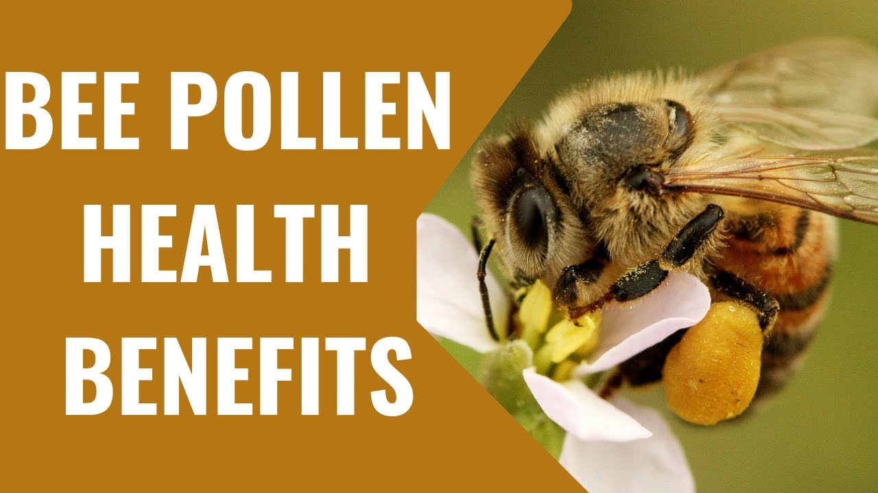 Shocking Bee Pollen Health Benefits - Part 1 - YouTube