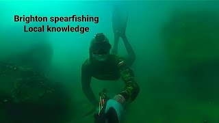 The Hidden Depths: 2023 Spearfishing Under Brighton Pier