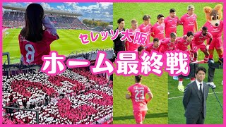 【セレッソ観戦Vlog】2024ホーム最終戦🌸小菊監督\u0026山下キャプテンのヨドコウでの最後の勇姿！コブクロがゲストで来場 | 2024J1第37節セレッソ大阪vs鹿島アントラーズ