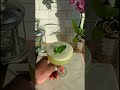 a cucumber mint refresher for dry january mixology mocktail dryjanuary shorts