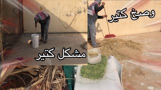 تنضيف عرايش الحمام🕊 و الارانب🐇