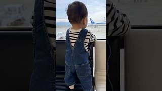 【息子の初フライト✈️伊勢海老を食す旅in高知】#子連れ旅行 #赤ちゃんのいる生活 #momlife #ana #0歳#9ヶ月ベビー #男の子ベビー #男の子ママ #babyboy #shorts