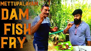 Mettupalayam Bhavani River Fish Fry | Mettupalayam Vlog | TravelKaaran