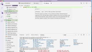Tiny Python Projects: Ch 1 (Creating a new file)
