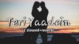 Teri Yaadein | Teri Yaadein Hindi Lyrics song | Lofi-Series | #song #lofi